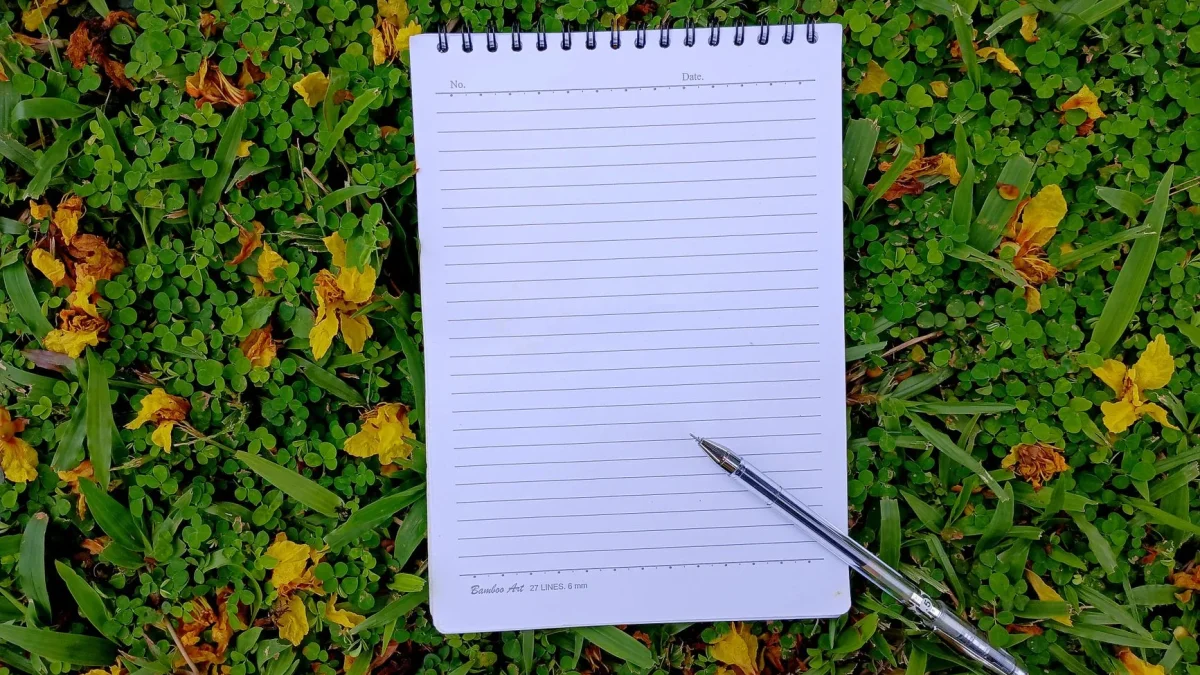 Le present perfect en anglais : formation, emplois et différence avec le past simple